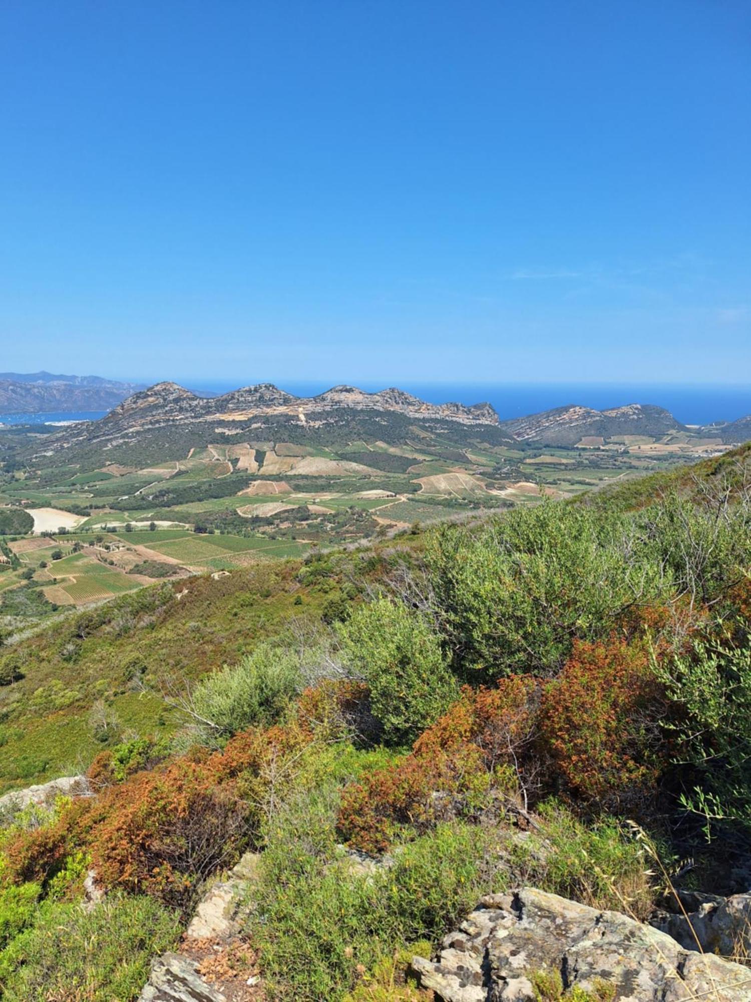 Le Clos Osteria Barbaggio Εξωτερικό φωτογραφία